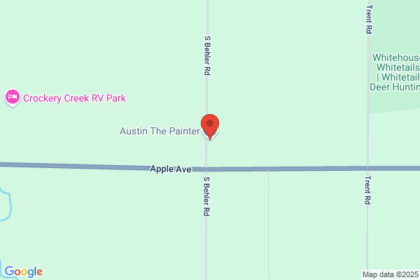 Austin Painting