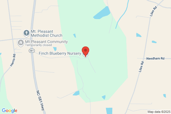 Finch Blueberry Nursery
