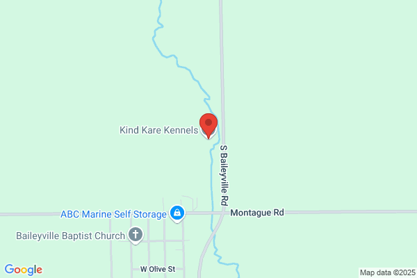 Kind Kare Kennels