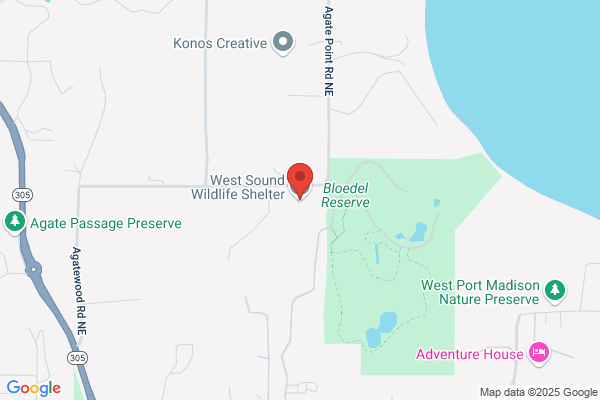 Island Wildlife Rehabilitation Center At Bloedel