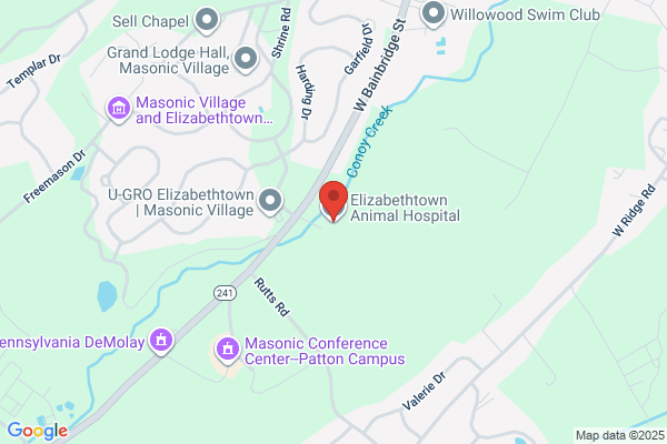 Elizabethtown Animal Hospital