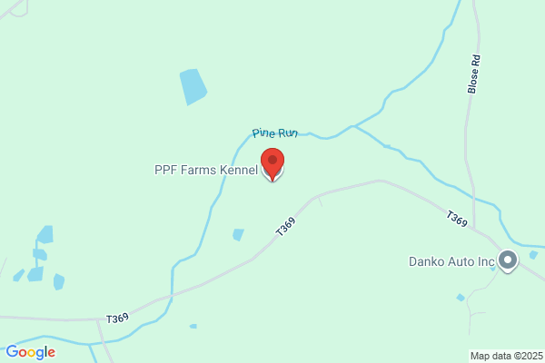 Penny Meadows Farm Kennels