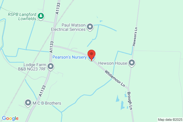 Pearson's Nursery