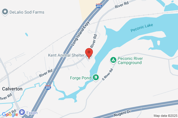Kent Animal Shelter Inc