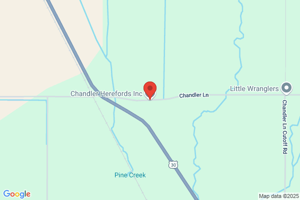 Chandler Hereford Inc