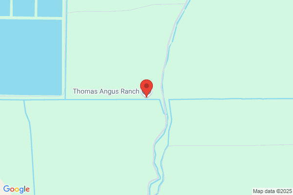 Freeman Angus Ranch