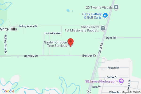 Garden Of Eden Tree Service