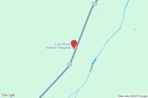 Lost River Animal Hospital