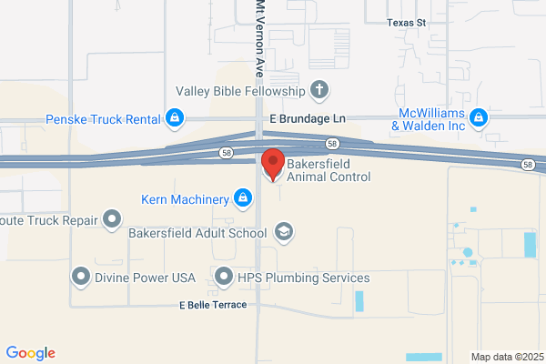 American Animal Care Center