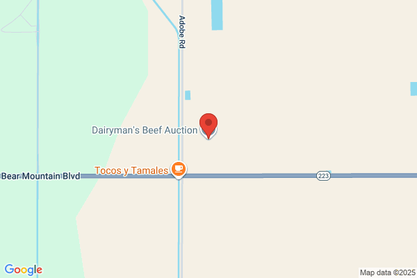 Dairyman's Beef Auction