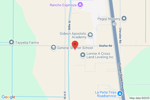 Fiesta Party Rentals