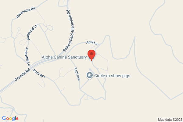 Alpha Canine Sanctuary