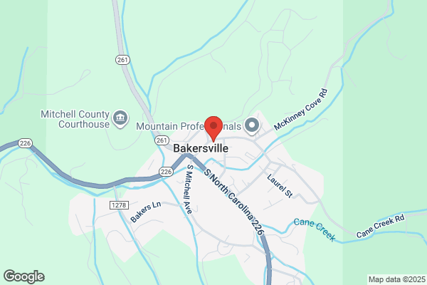 Bakersville Community Medical Clinic Inc