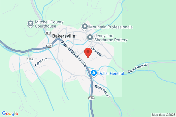 Mitchell County Transportation Authority