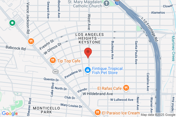 Torres  Tree Service