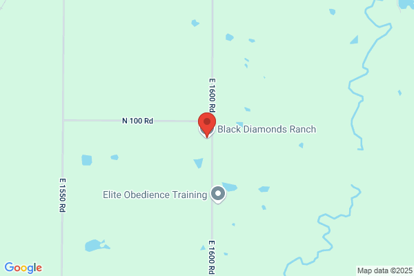 Stepping Stone Ranch