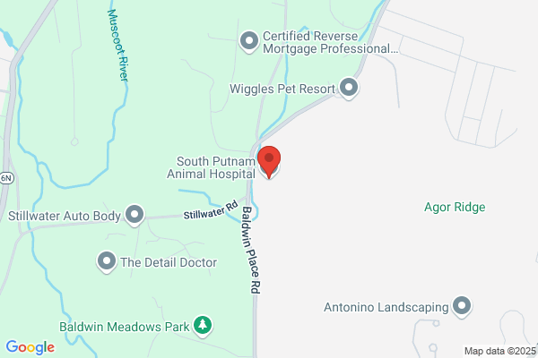 South Putnam Animal Hospital