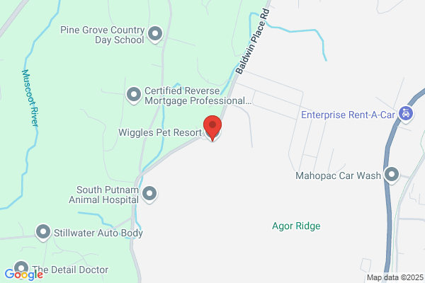 Wiggles Pet Resort