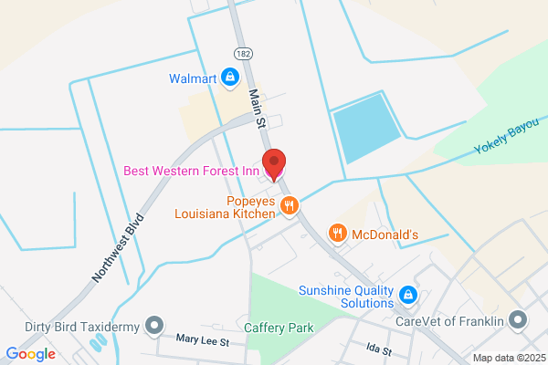 Best Western Forest Inn