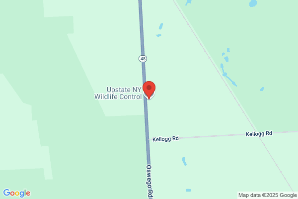 Fingerlakes Wildlife Service