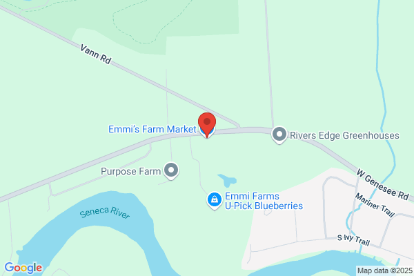 Emmi & Sons