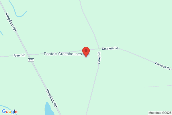 Ponto's Greenhouses