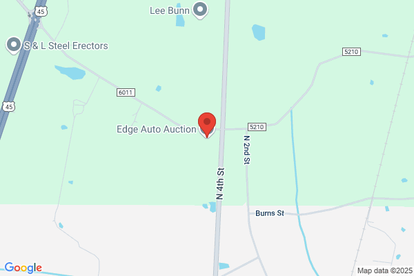 Auto Auction Inc