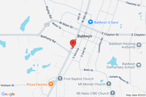 Baldwyn Check Service