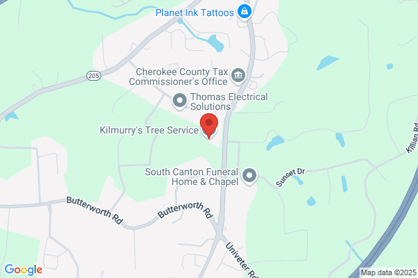 Kilmurry's Tree Service