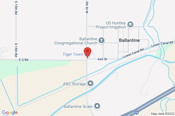 Tiger Town