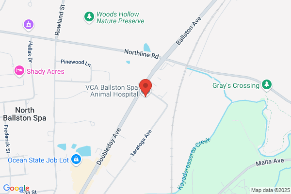 Ballston Spa Veterinary Clinic