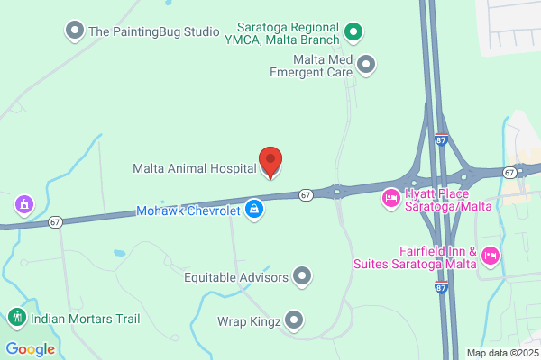 Malta Animal Hospital