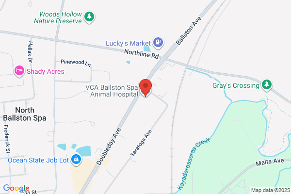 Ballston Spa Veterinary Clinic