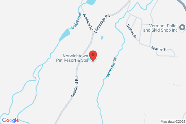 Norwichtown Pet Resort & Spa
