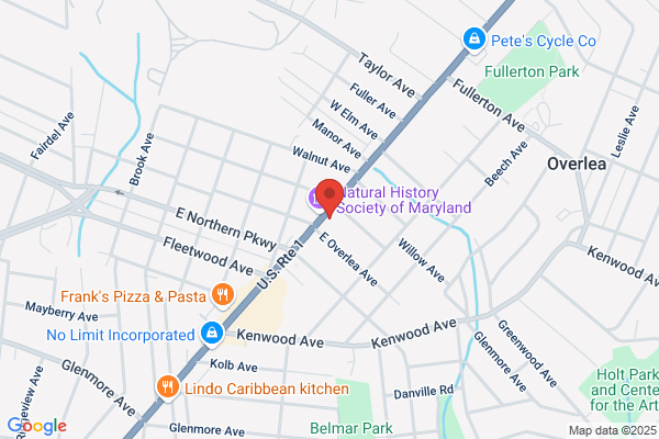 Kaye's Pharmacy Compounding Specialists