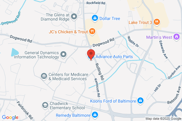Advance Auto Parts