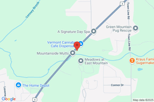 Southern Vermont Surveys