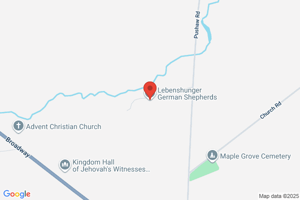 Shepherd's Godparent Home