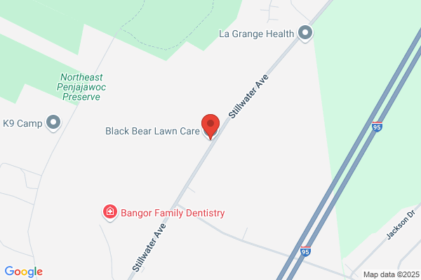 Black Bear Lawn Care