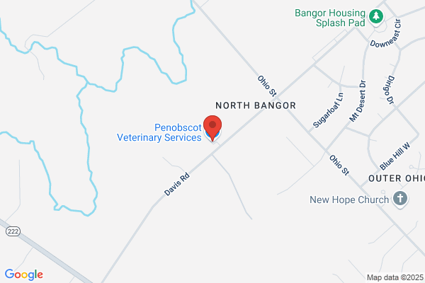 Penobscot Veterinary Hospital