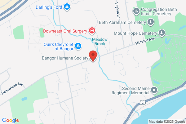 Bangor Humane Society