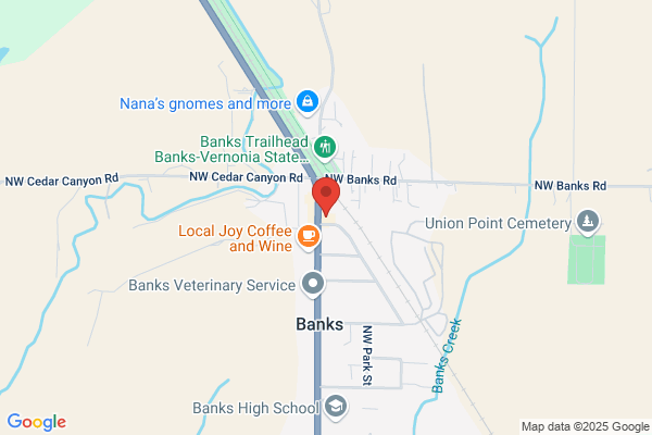 Banks Auto Parts