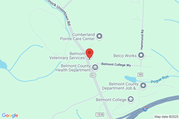 Belmont Veterinary Service Inc