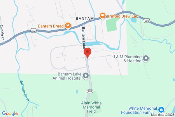 Bantam Cinema