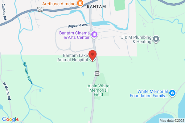 Bantam Lake Animal Hospital