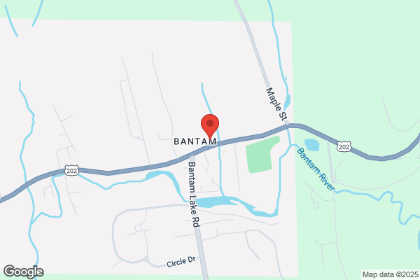 Bantam Pizza & Restaurant