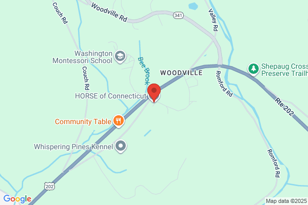 Horse of Connecticut