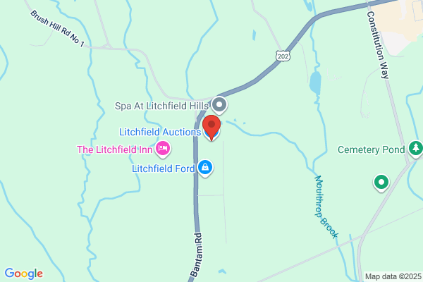 Litchfield County Auctions Inc