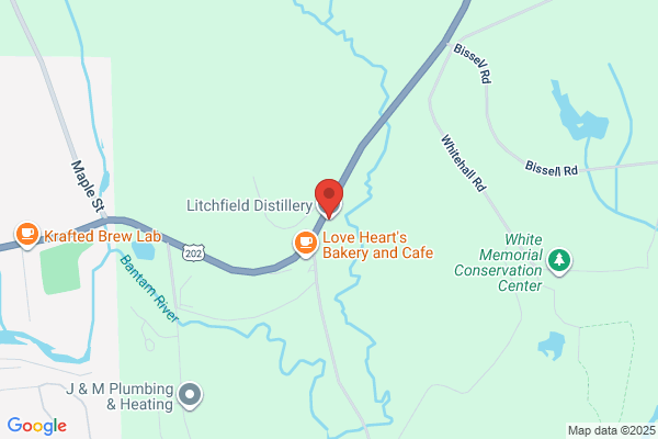Litchfield International Inc