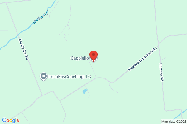 Cappiello Contractors Inc